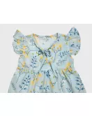 Baby Ruffle Sleeve Dress - Baby Blue Colour, Fashion Flower Print