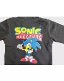 Hoodie - Full Zipped, Black, Printed Sonic 